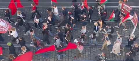 „Palästinasolidarität“ auf einer Klimademo von Fridays for Future.